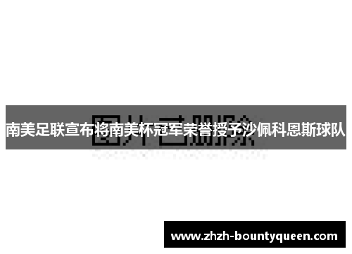 南美足联宣布将南美杯冠军荣誉授予沙佩科恩斯球队